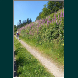 P1000625WhatsApp Image 2024-06-13 at 20.38.25(3).jpg